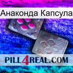 Анаконда Капсула 38